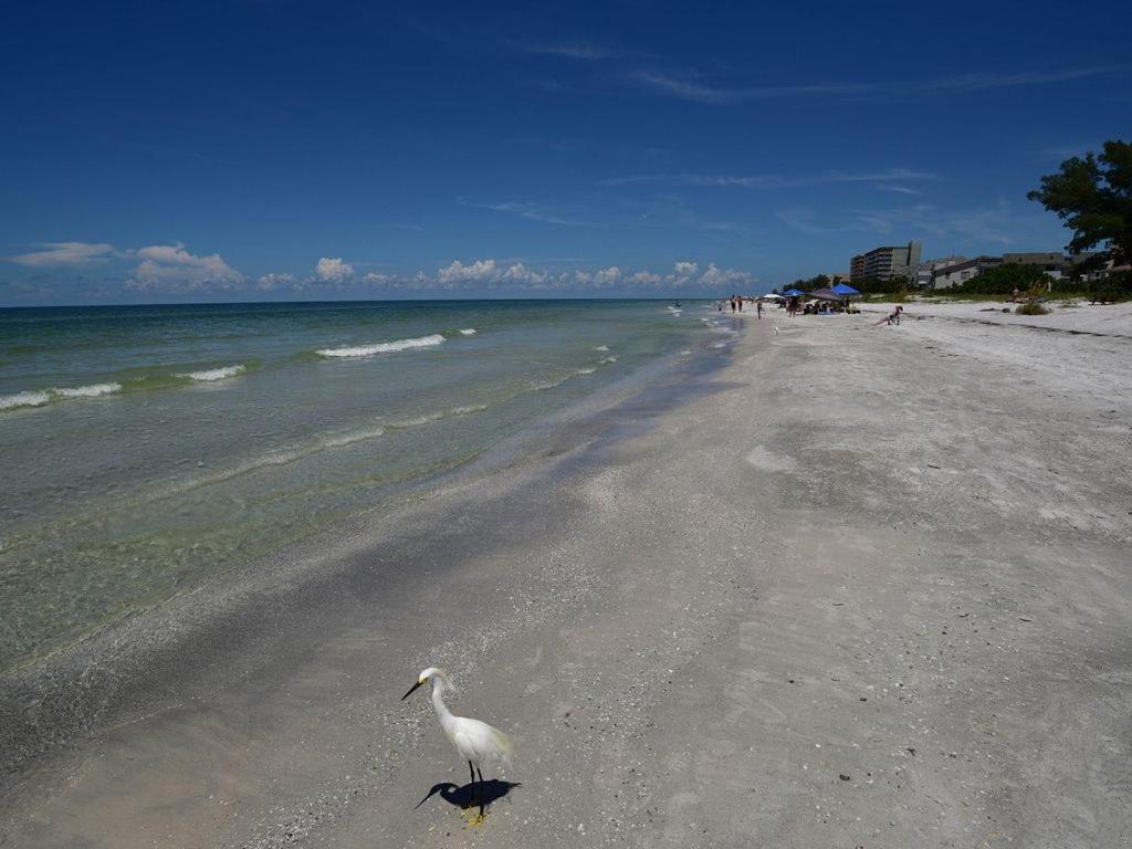 Gulf Retreat 2: Magnificent Water Views, Steps To Beach, None Cleaner, None Nicer! Clearwater Beach Buitenkant foto